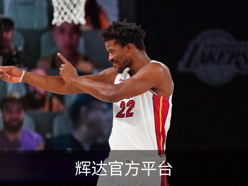 走进辉达官方平台